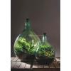 Terrarium fles M 15L 30x30x44 cm mini ecosysteem